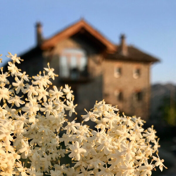 casa-cuadrau-ecologia