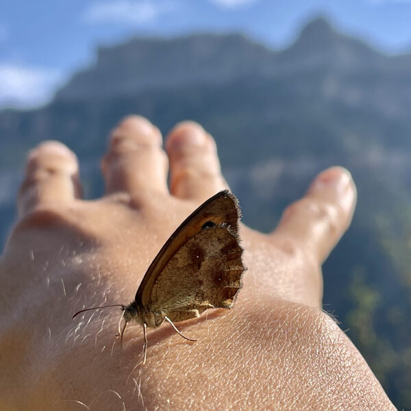 reverence-hiking-nature